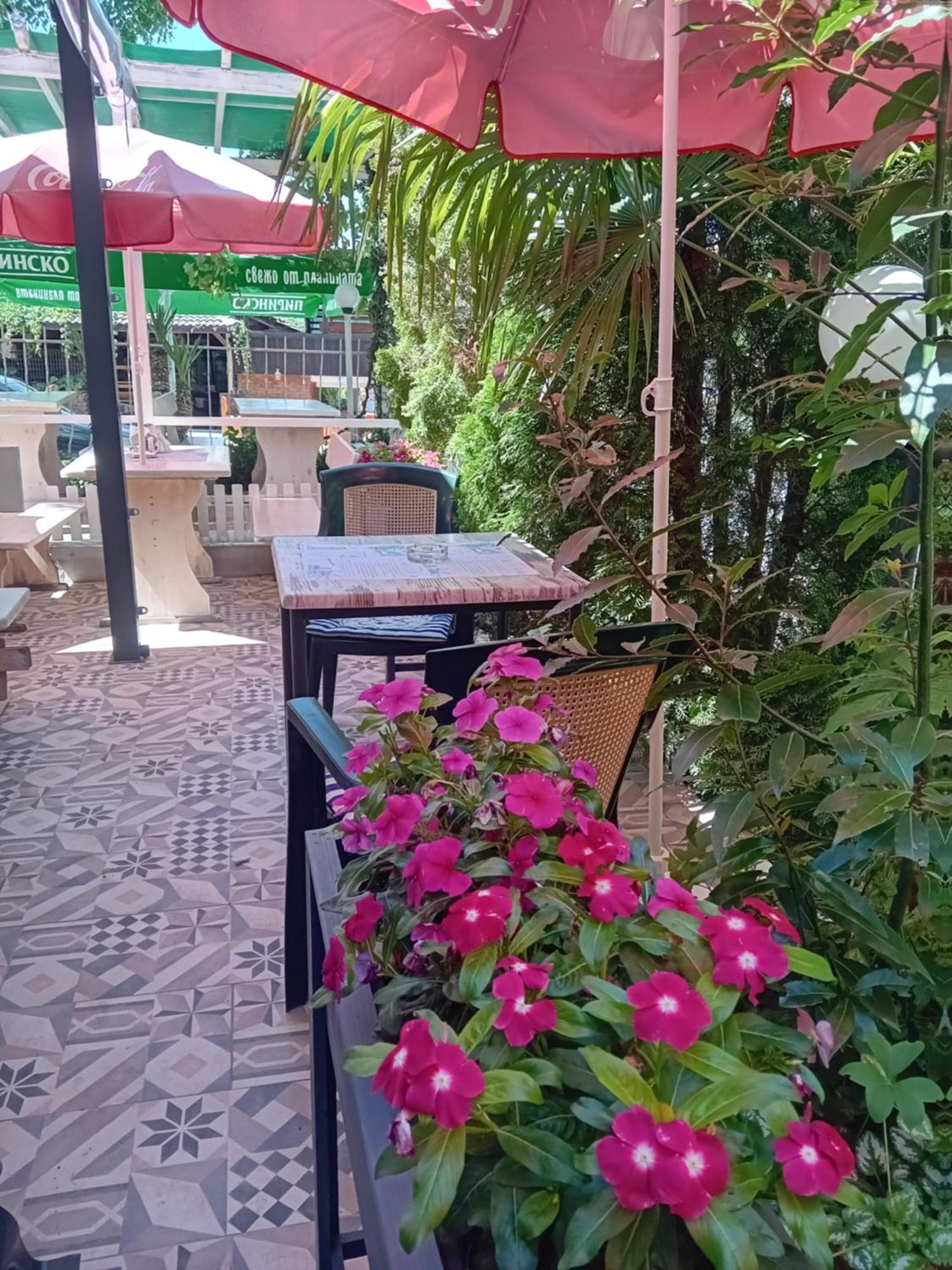 Guesthouse Oasis Kiten  Zewnętrze zdjęcie